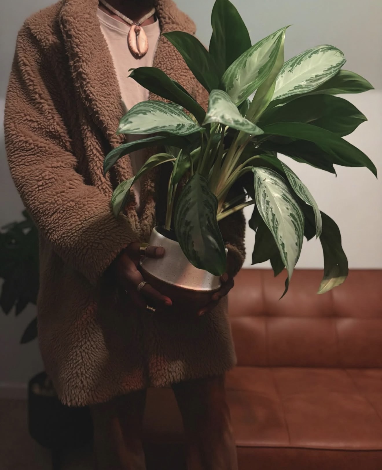 Cyrus — Greenkeeper