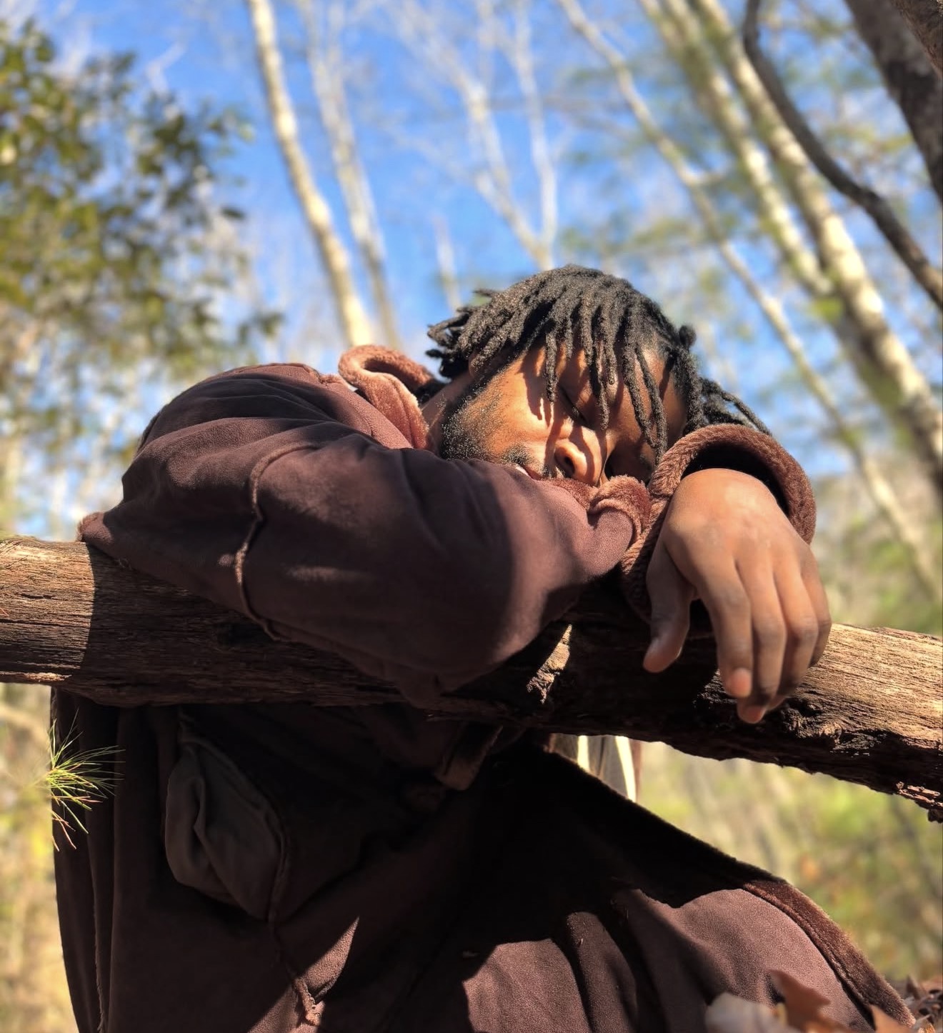 Cyrus — Resting on wood